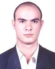 مرتضی سرداری